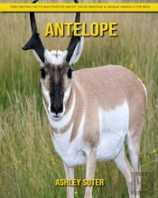 Antelope
