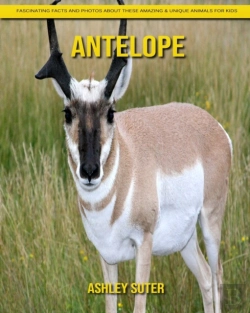 Bertrand.pt - Antelope