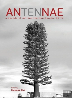 Bertrand.pt - Antennae 10