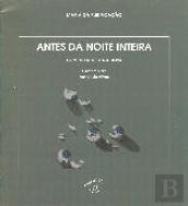 Antes da Noite Inteira