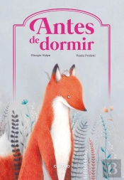 Antes De Dormir