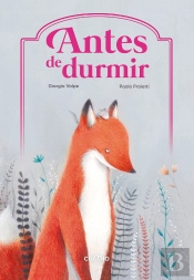 Antes De Durmir
