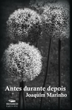 Bertrand.pt - Antes Durante Depois