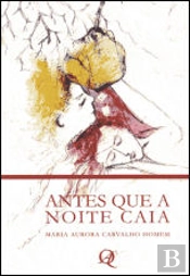 Antes que a noite caia