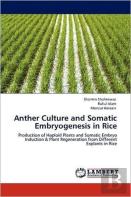 Anther Culture And Somatic Embryogenesis In Rice