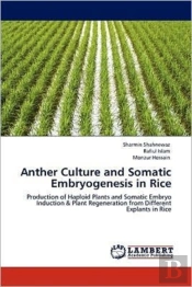 Anther Culture And Somatic Embryogenesis In Rice