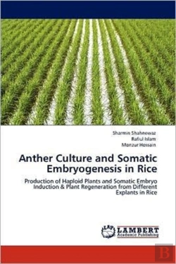 Bertrand.pt - Anther Culture And Somatic Embryogenesis In Rice