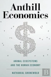 Anthill Economics