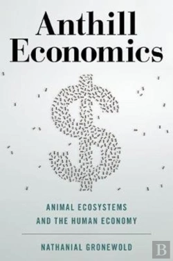 Bertrand.pt - Anthill Economics