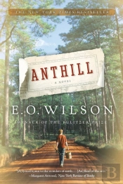 Anthill