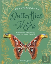 Anthology Of Butterflies And Moths