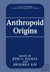 Anthropoid Origins