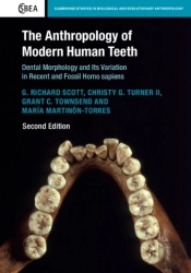Anthropology Of Modern Human Teeth
