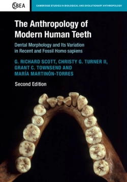 Bertrand.pt - Anthropology Of Modern Human Teeth
