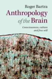 Anthropology Of The Brain