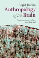 Anthropology Of The Brain