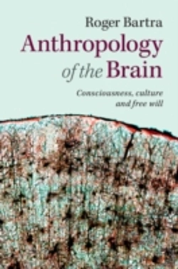 Bertrand.pt - Anthropology Of The Brain