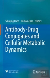 Antibody-Drug Conjugates And Cellular Metabolic Dynamics