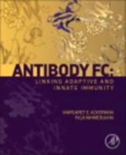 Bertrand.pt - Antibody Fc