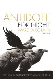 Antidote For Night
