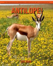 Antilope! Ein Padagogisches Kinderbuch Uber Antilope Mit Lustigen Fakten