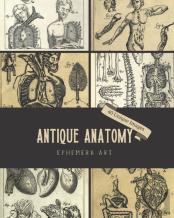 Antique Anatomy Ephemera Art