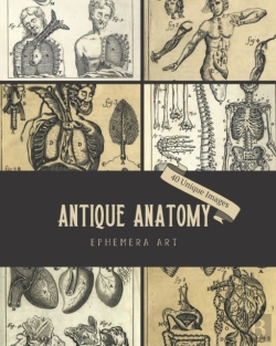 Bertrand.pt - Antique Anatomy Ephemera Art