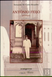 António Feijó - Diplomata