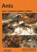 Ants