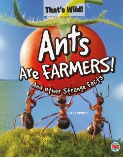 Bertrand.pt - Ants Are Farmers! And Other Strange Facts