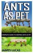 Ants As Pet