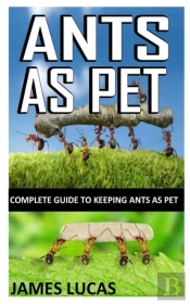 Ants As Pet