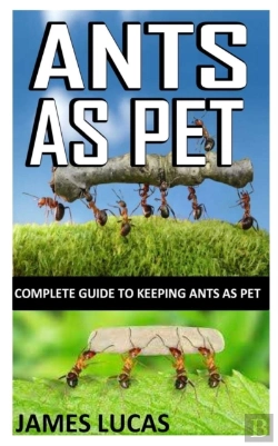 Bertrand.pt - Ants As Pet