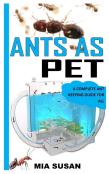 Ants As Pet