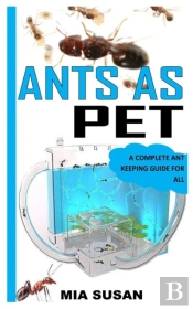 Ants As Pet
