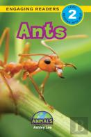 Ants