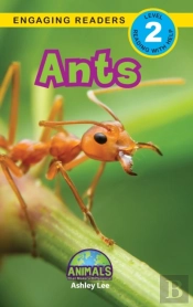 Ants