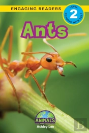 Ants