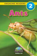 Ants