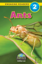 Ants