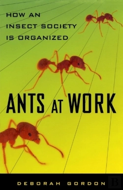 Bertrand.pt - Ants At Work