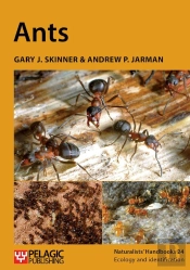 Ants