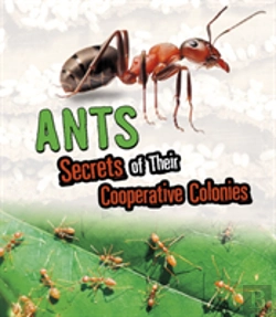 Bertrand.pt - Ants