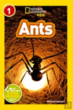 Bertrand.pt - Ants