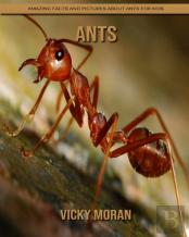 Ants