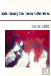 Ants Moving The House In Millimetres