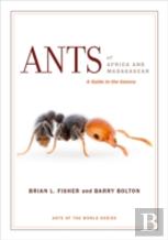 Ants Of Africa And Madagascar