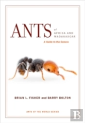 Ants Of Africa And Madagascar