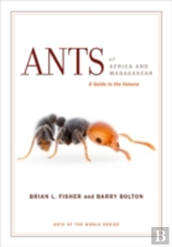 Bertrand.pt - Ants Of Africa And Madagascar