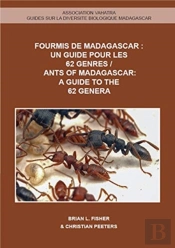 Ants Of Madagascar - A Guide To The 62 Genera